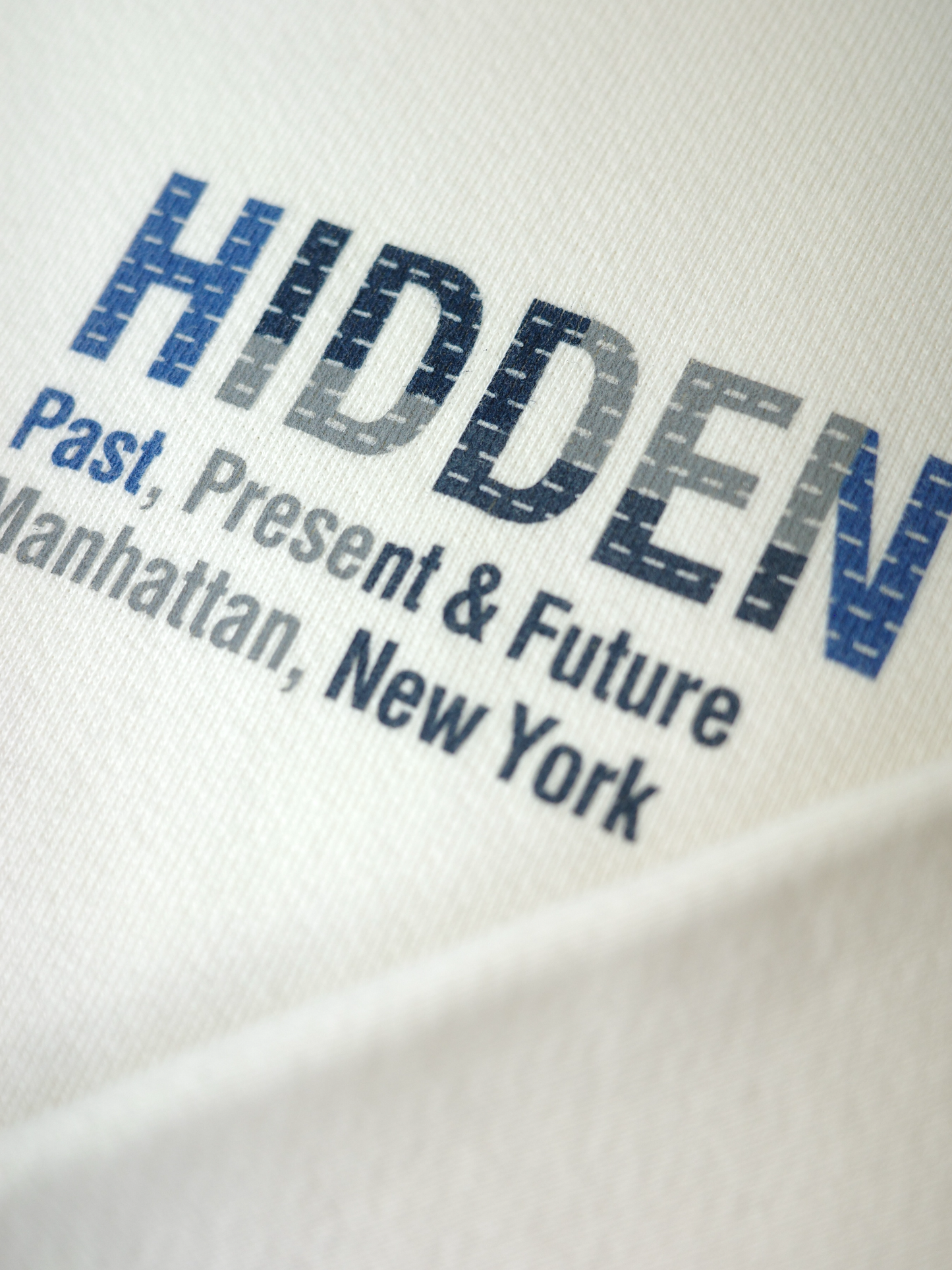 Hidden NY Boro Hoodie