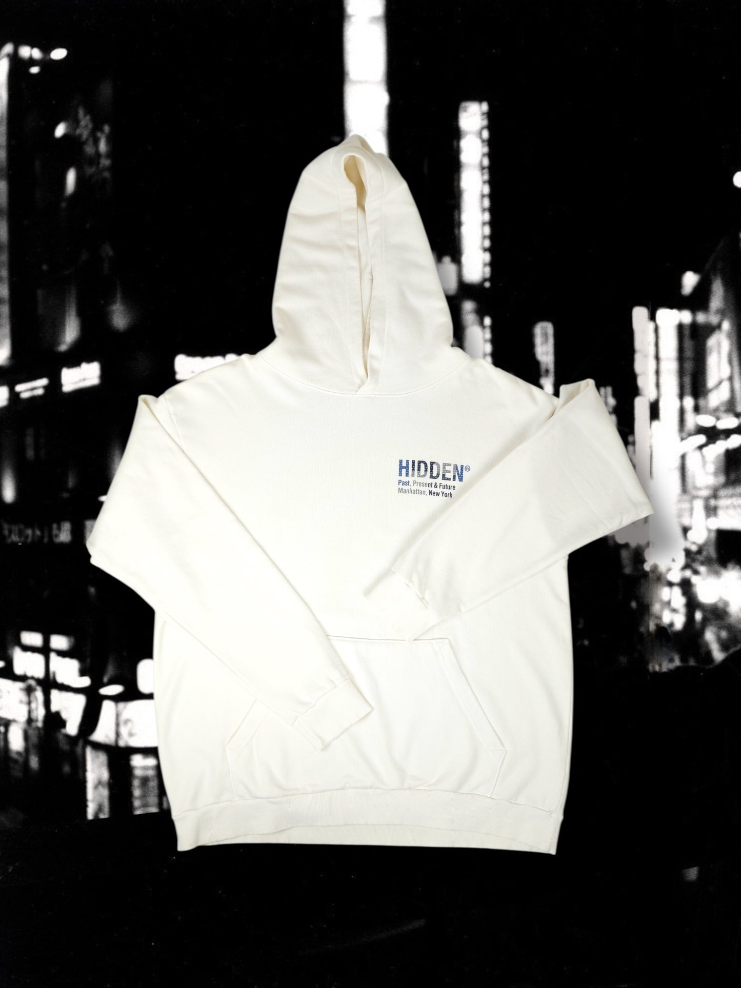 Hidden NY Boro Hoodie