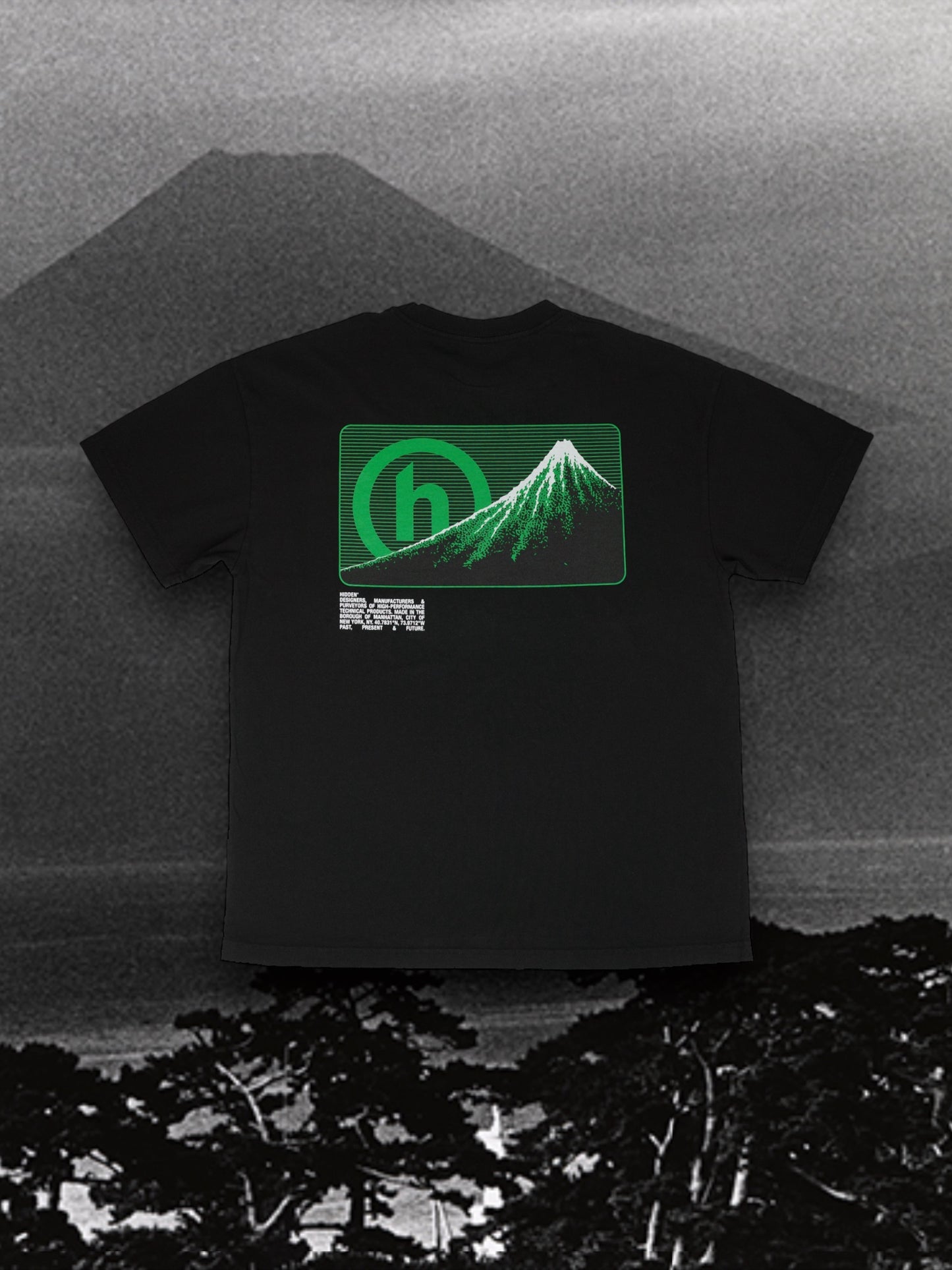 Hidden NY Mt. Fuji Tee