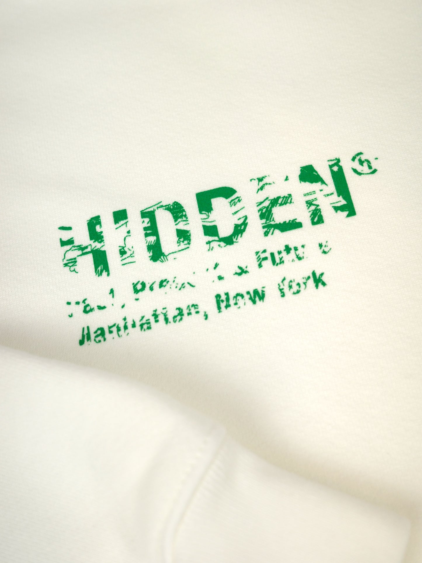 Hidden NY Camp Lake Hoodie